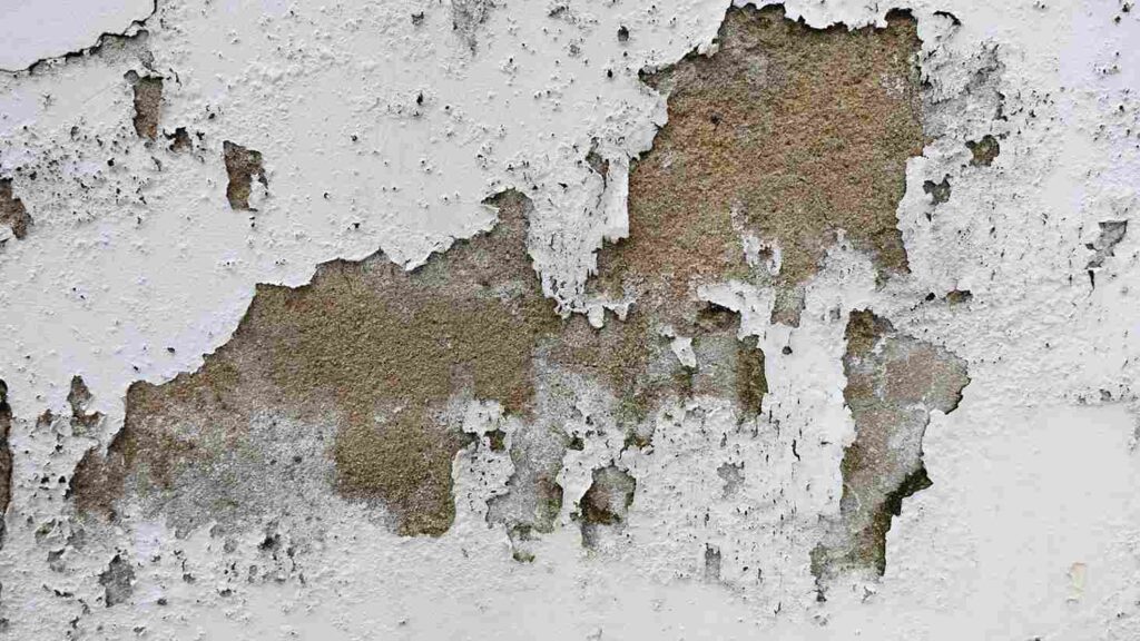 Visible signs of water damage — peeling paint and discolored bathroom tile